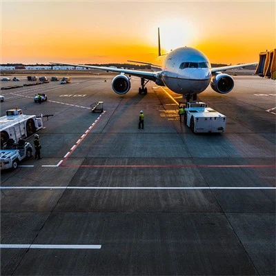 Air India transports